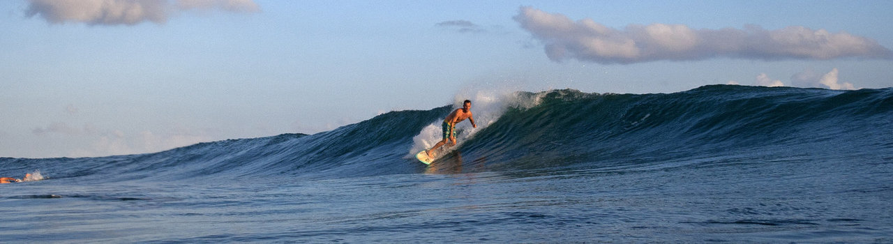 south shore surf